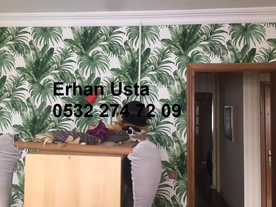 Duvar Kağıdı Ustası