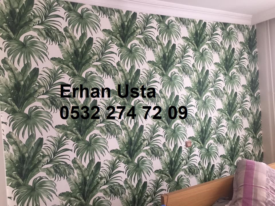 Duvar Kağıdı Ustası